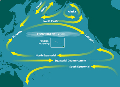 North_Pacific_Subtropical_Convergence_Zone.jpg